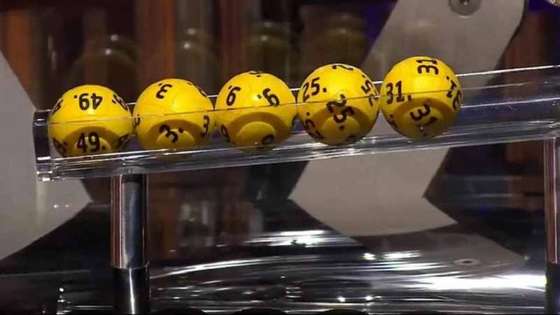 Trực Tiếp Đá Gà Thomo: Trải Nghiệm Đỉnh Cao Của Môn Thể Thao Truyền Thống