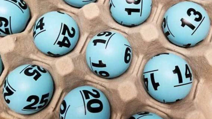 Khám Phá Thế Giới Gà Chọi C1: Đá Gà Trực Tiếp và Những Điều Cần Biết